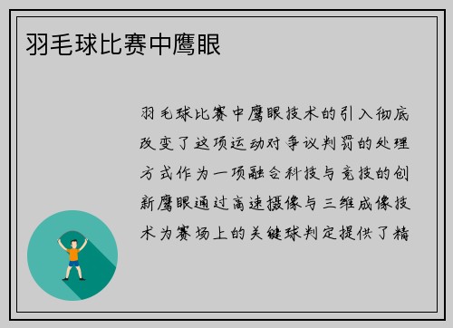 羽毛球比赛中鹰眼