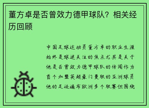 董方卓是否曾效力德甲球队?相关经历回顾