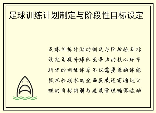 足球训练计划制定与阶段性目标设定